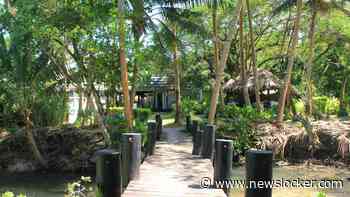 Zeven toeristen op Fiji in ziekenhuis, vermoedelijk door alcoholvergiftiging