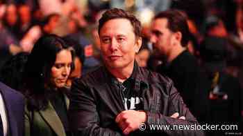 Elon Musk laat zijn rebelse AI-chatbot Grok los op het grote publiek