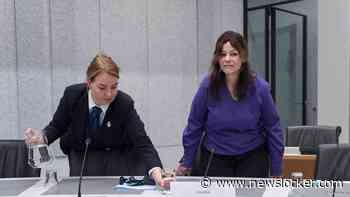 NU+ | Klokkenluider Palmen krijgt als staatssecretaris zware klus rond toeslagen