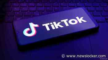 TikTok wint geen tijd in zaak tegen naderend verbod VS