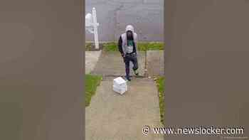 Bait Package Social Experiment #Pranks #JoeySalads #ViralVideos