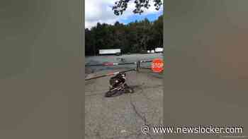 can't stop, won't stop. Thanks: Nick Macdermott #BMX