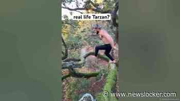 forest parkour?! 🌳🏃🌳