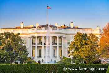 Global agriculture 'faces uncertainty' due to Trump's tariff disputes