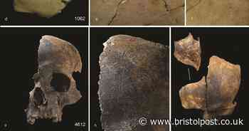 Shocking discovery after human remains found in Somerset shaft