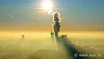 „Die Insolvenzwelle legt die Schwächen der deutschen Wirtschaft offen“