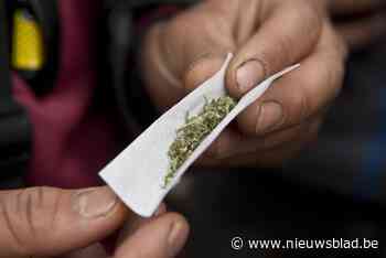 30 maanden cel voor Amerikaanse die betrapt werd met cannabis in reiskoffers: “Ik wil mijn eigen restaurant beginnen in LA”