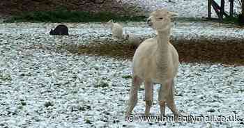 Have your say - are you dreaming of a white Christmas or would it affect your travel plans?