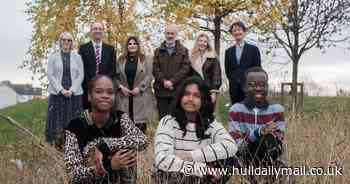 Six Hull schools net funding to go greener