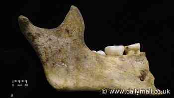 Britain's cannibal victims seen for the first time in 4,500 years: Grisly remains reveal how dozens of people were killed, butchered and consumed in the Bronze Age