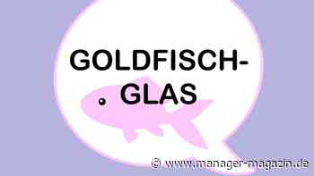 Meetings: Was ist die Goldfischglas-Methode?