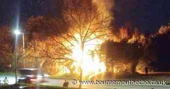 Shed engulfed in flames after suspected arson