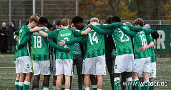 Hauptrunden-Gruppen der DFB-Nachwuchsliga eingeteilt