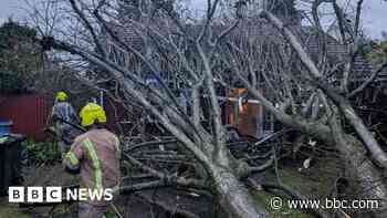Storm Darragh clear-up could take weeks - council