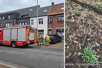Aannemer vindt obus onder vloer bij verbouwingswerken