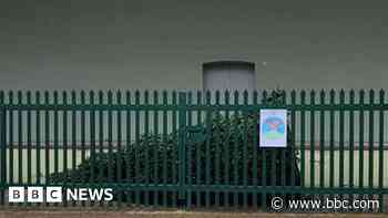 Museum closures and fallen Christmas trees