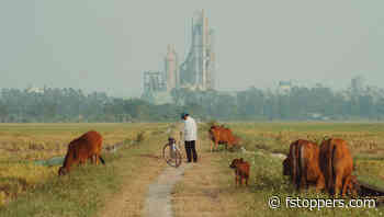 When to Edit Photos in Black and White or Color