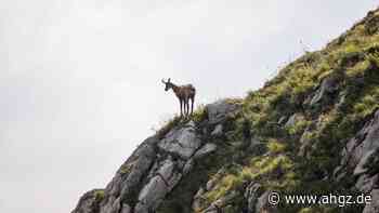 DJH Bayern : Jugendherberge und Bio-Vorreiter