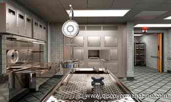 Autopsies Have A Long and Complicated History