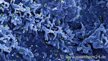 Deutsche Familie an Affenpocken erkrankt: Kinder waren noch in der Schule - jetzt Quarantäne