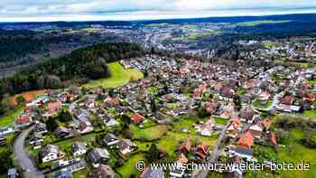 Wohnen in Calw: In Alzenberg soll ein Baugebiet für drei Häuser entstehen