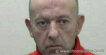 Hebburn yob who abused shopkeepers said he couldn't be racist as he'd been to Jamaica