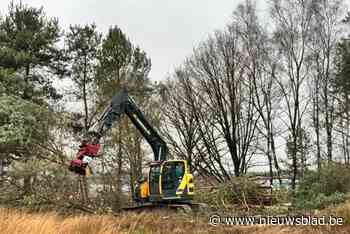 Bomen aan vliegveld Zwartberg gekapt: “Om natuur te herstellen”