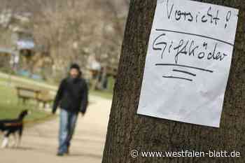 Giftköder in Vlotho? Schäferhündin verstorben