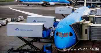 Penetranter Geruch von Schweinen zwingt Flugzeug zu Notlandung auf den Bermudas