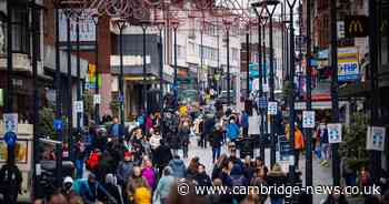 Martin Lewis issues warning to millions over council tax discounts that are being missed