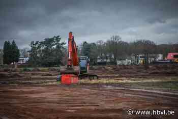 Actiecomité slaat alarm over “illegale” bomenkap op Kolmenveld tijdens archeologisch onderzoek