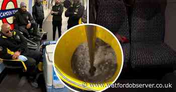 Watford cleaners reveal just how dirty London bus seats are