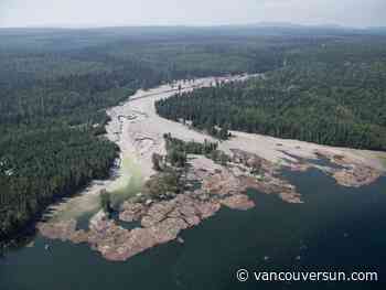 How toxic impact of Mount Polley disaster filters through B.C. waters, 10 years later