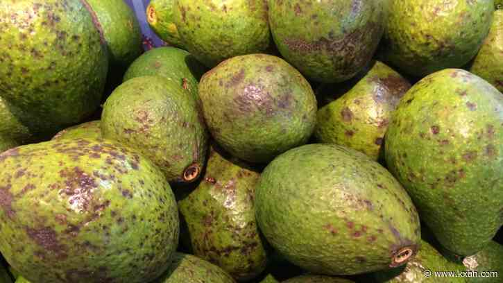 'Holy Guacamole': 34,000 stolen avocados found in Central Texas