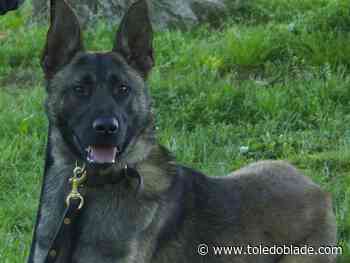 Oregon to restart its K-9 program next year