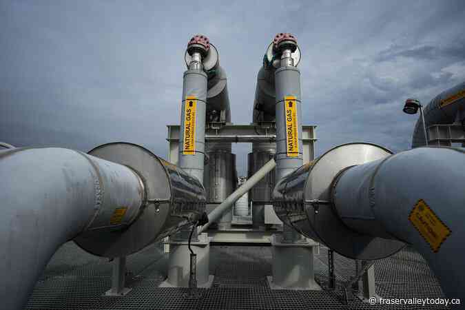 LNG Canada names Cooper as next CEO; replaces outgoing Klein