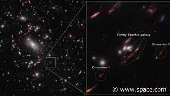 James Webb Space Telescope witnesses Firefly Sparkle galaxy 'being assembled brick by brick' (image, video)