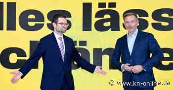 FDP-Wahlprogramm: Spitzensteuer-Erleichterung und Bürgergeld-Sanktionen - der Überblick