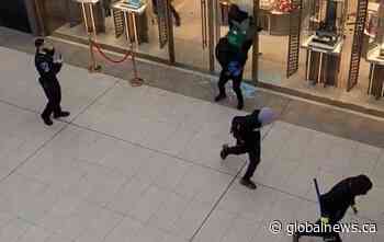 Another smash-and-grab jewelry store heist in Ontario shopping centre, hammers used