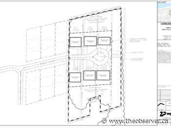 Development plans for Sarnia woodlot can proceed: council