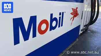 Mobil says it regrets misleading customers as ACCC launches legal action