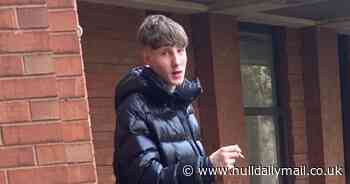 Drunken vandal attacked five cars during one night of madness