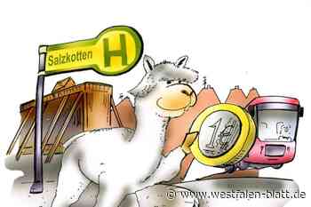 Mit einem Euro im Bus durch  Salzkotten