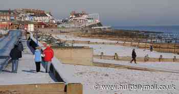 Best winter walks in Hull and East Yorkshire, including a Wolds wilderness and a woodland where a tank disappeared