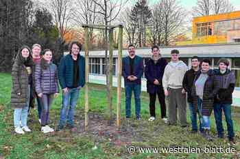 Abiturienten pflanzen Gedenkbaum in Steinheim