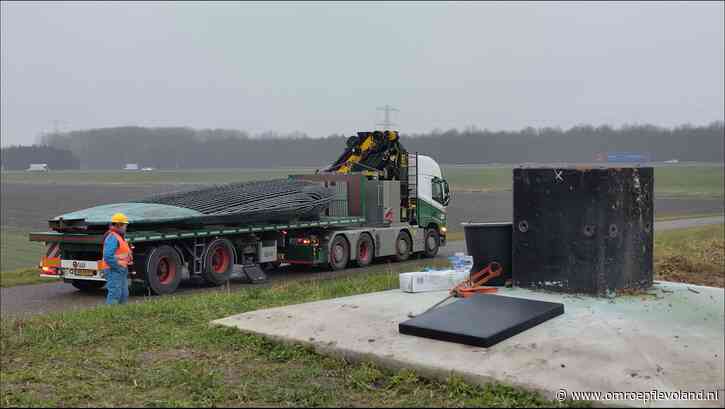 Lelystad - Kunstwerk De Tong verwijderd van Knardijk bij Lelystad