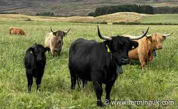 Scottish organic farmers get automatic eligibility for future payments