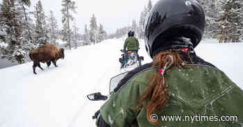 Visiting Yellowstone in Winter: 5 Things to Do