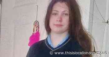 Police 'increasingly concerned' for missing schoolgirl, 14, who could be in Wembley