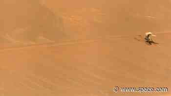 After accident on Mars, NASA's Ingenuity helicopter could live on as a weather station for 20 years